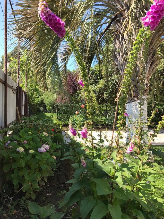 Guest House Evkalipt Ochamchira Bagian luar foto